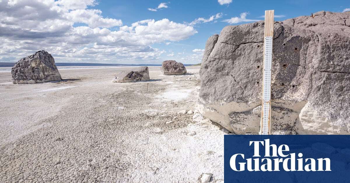 ‘On a razor’s edge’: migratory birds rely on this salt lake – but it’s dying