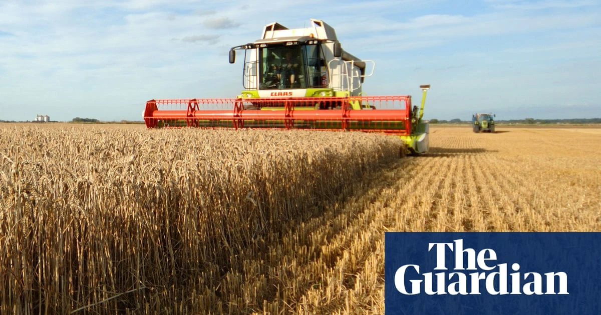 More than a third of UK agricultural soil degraded by intensive farming – report
