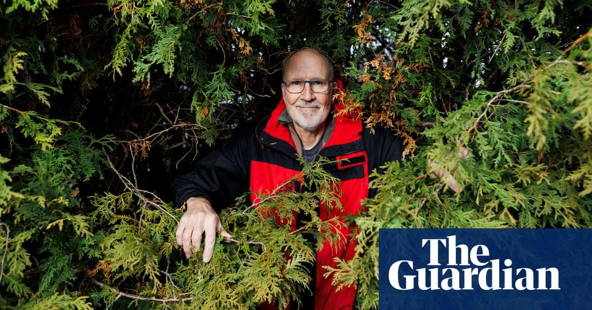 I discovered … a tiny 700-year-old forest within sight of North America’s busiest highway