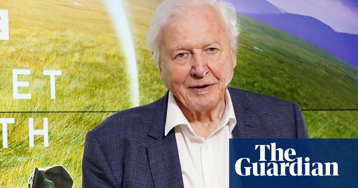 ‘Nobody can hold a candle to it’: David Attenborough backs BBC’s nature shows