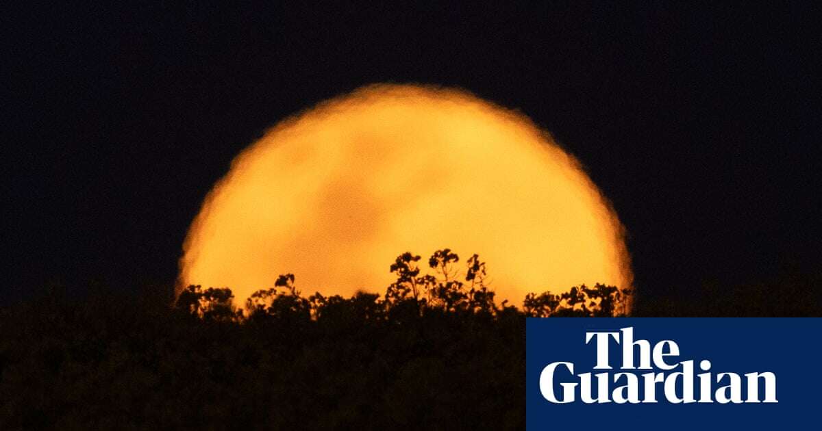 Gold rush: harvest moon rises to meet canola season in Riverina – in pictures