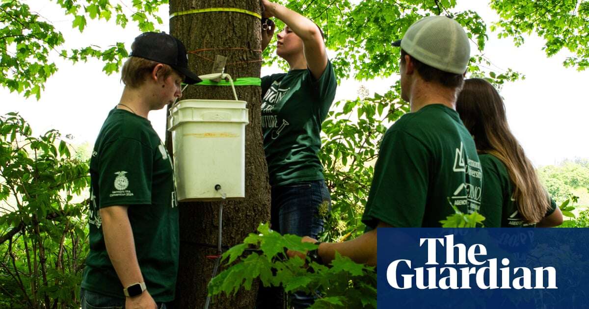 ‘It’s the future of sugar’: new technology feeds a Vermont maple syrup boom amid the climate crisis