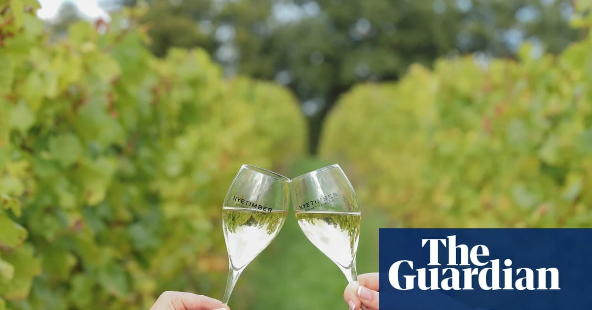 ‘A world-class producer’: English wines toast record gold medal haul