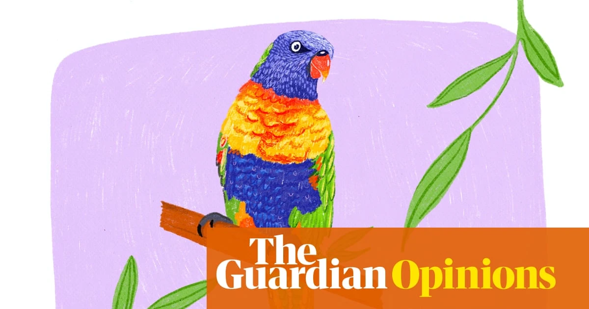 Rainbow lorikeets can be such bruisers, but this pair turn me into a cartoon princess | Johanna Roberts as told to Alyx Gorman