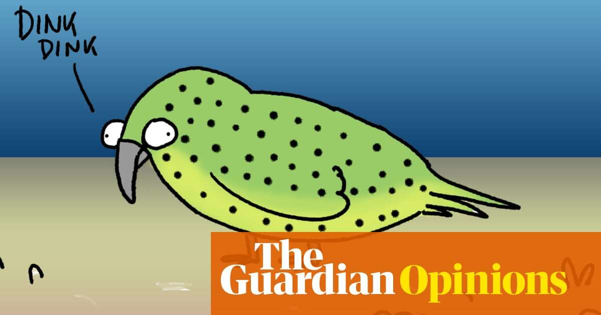 Once thought to be extinct, the night parrot is back in the news! Is it saved? | First Dog on the Moon