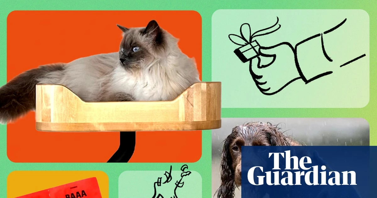 The best UK Christmas gifts for pets: 17 pawfect presents for cats, dogs and furry friends