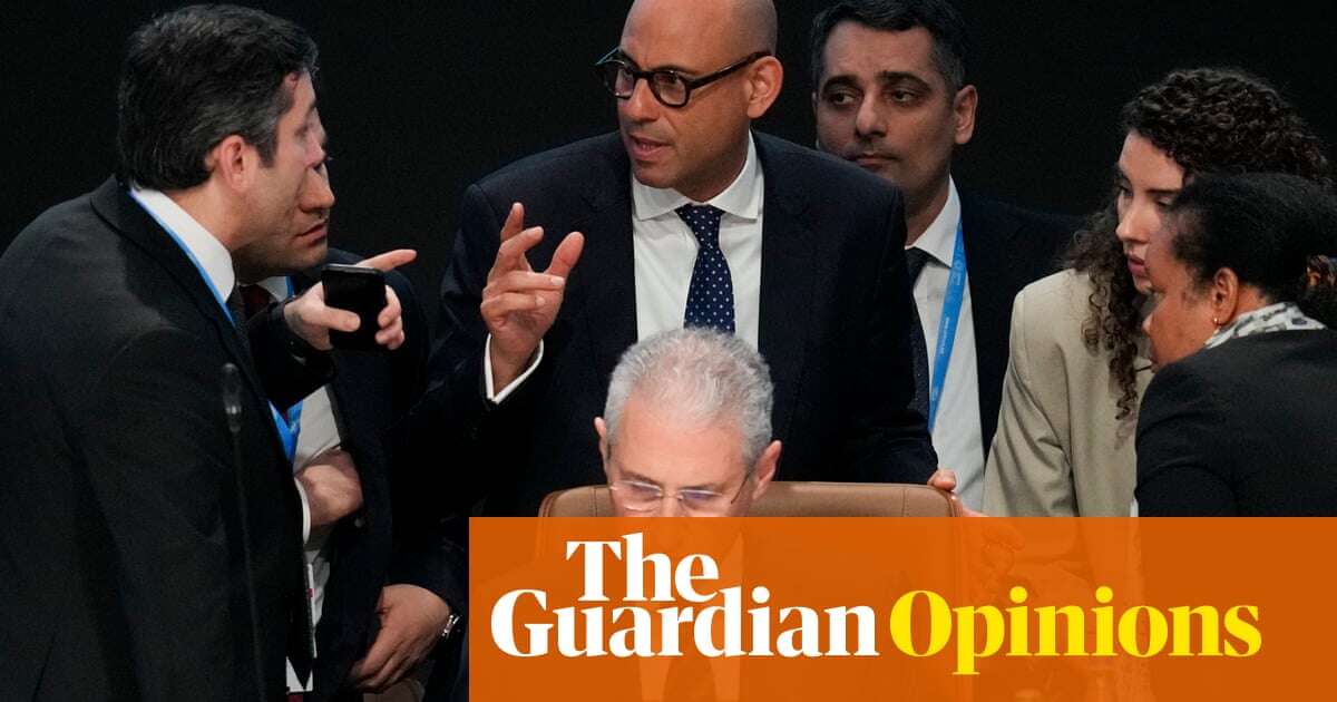 I'm glad we got a deal at Cop29 – but western nations stood in the way of a much better one | Mukhtar Babayev