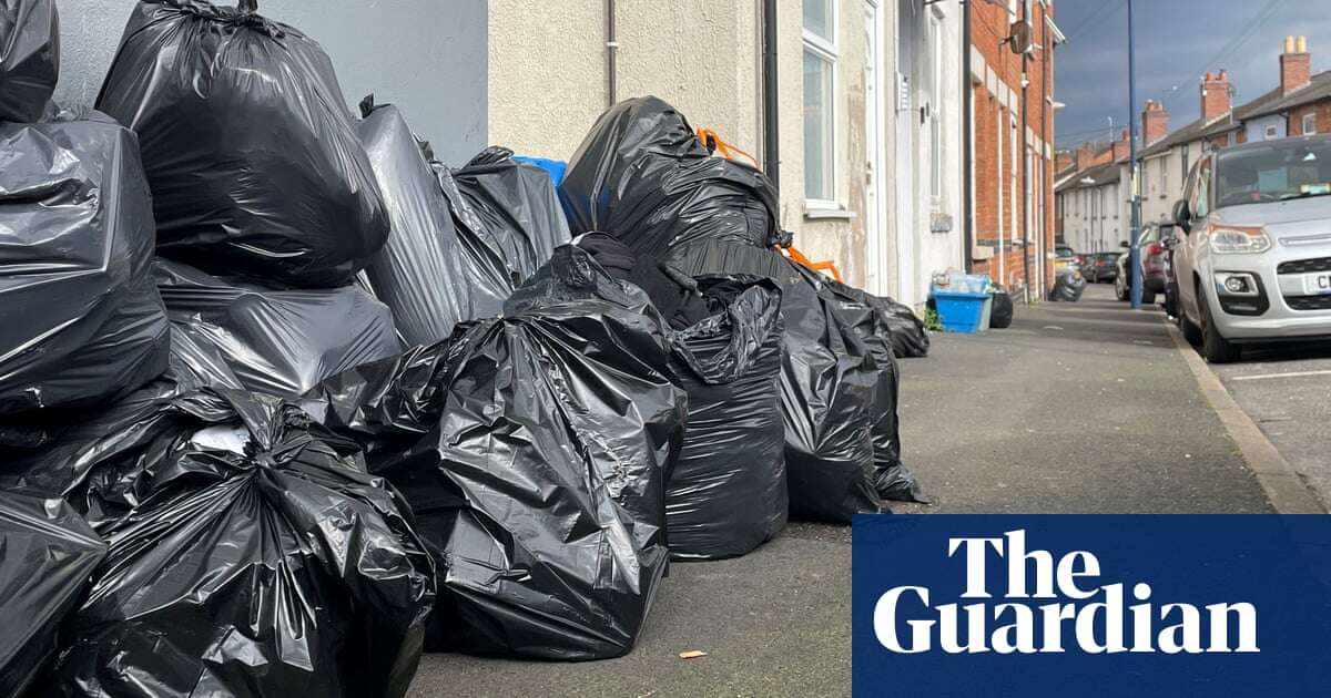 Birmingham bin collection strike offers ‘banquet’ for rats, pest expert says