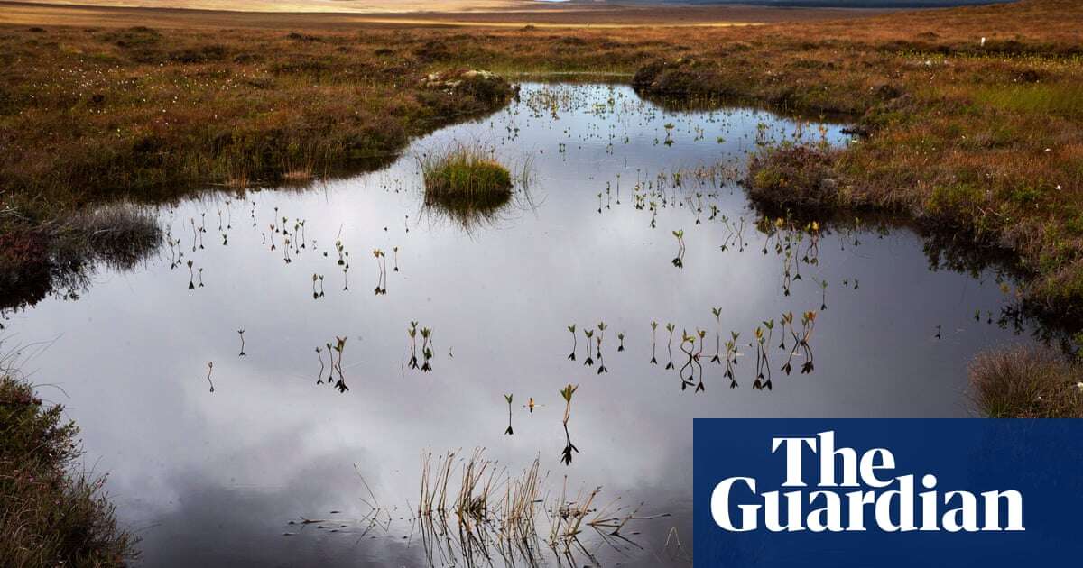 World’s largely unprotected peatlands are ticking ‘carbon bomb’, warns study