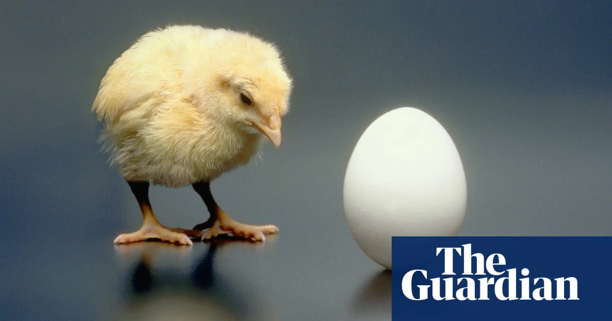Alex Bellos's Monday puzzle Can you solve it? Chicken or egg