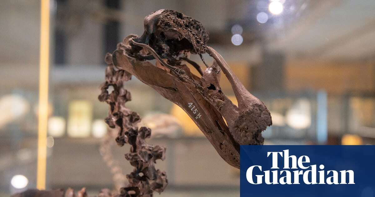 AI gives voice to dead animals in Cambridge exhibition