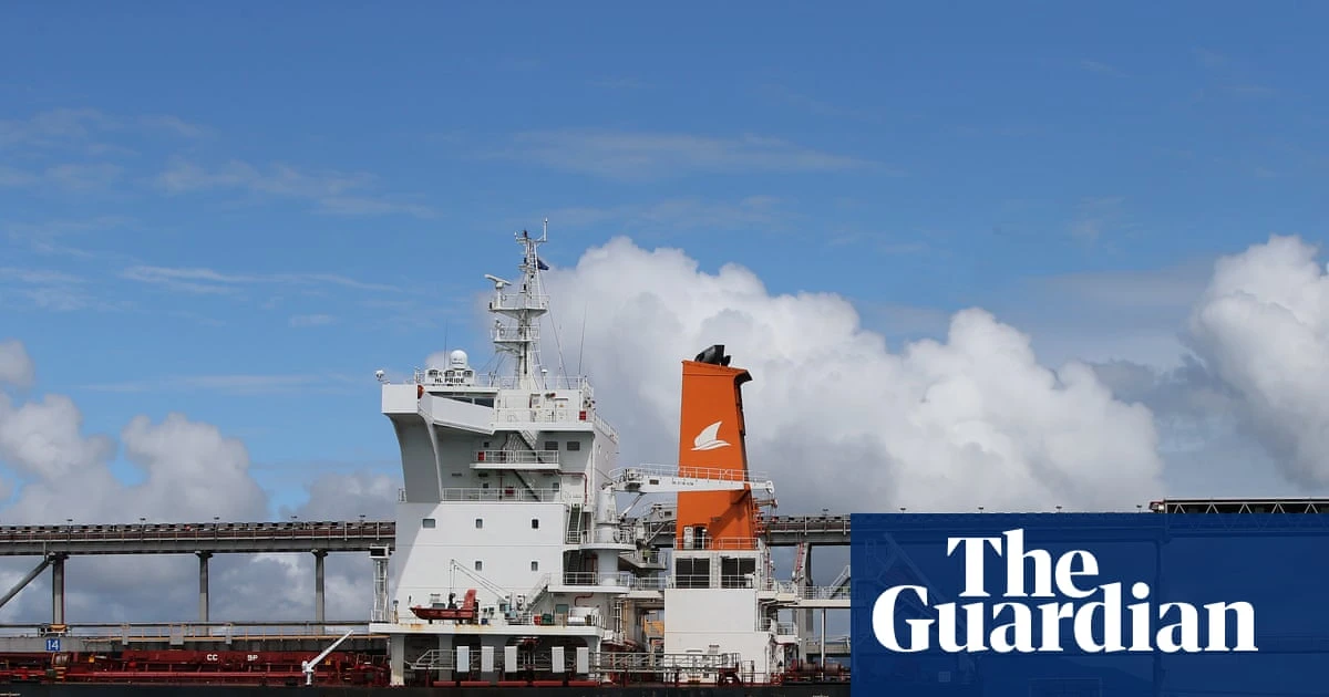 Adani claims its export program helps contribute to sustainable energy – but experts say that’s ‘wilful disinformation’