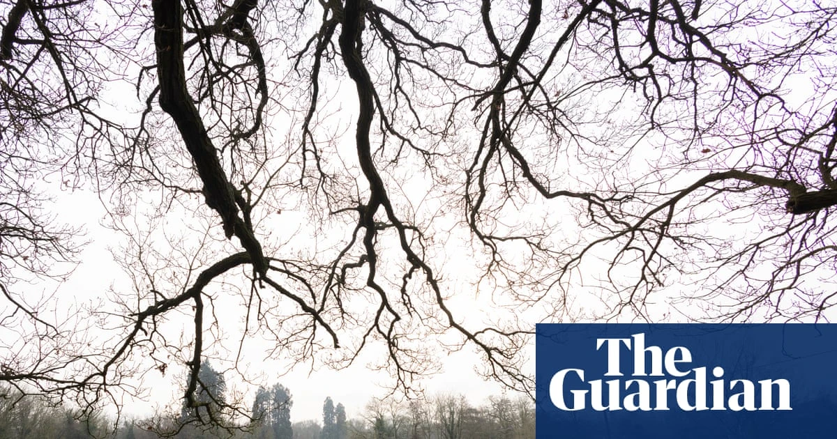 New legal challenge to plan for Spurs football academy in London park