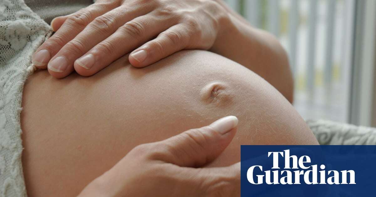 Missouri lawmaker proposes registry of pregnant women ‘at risk’ for abortions