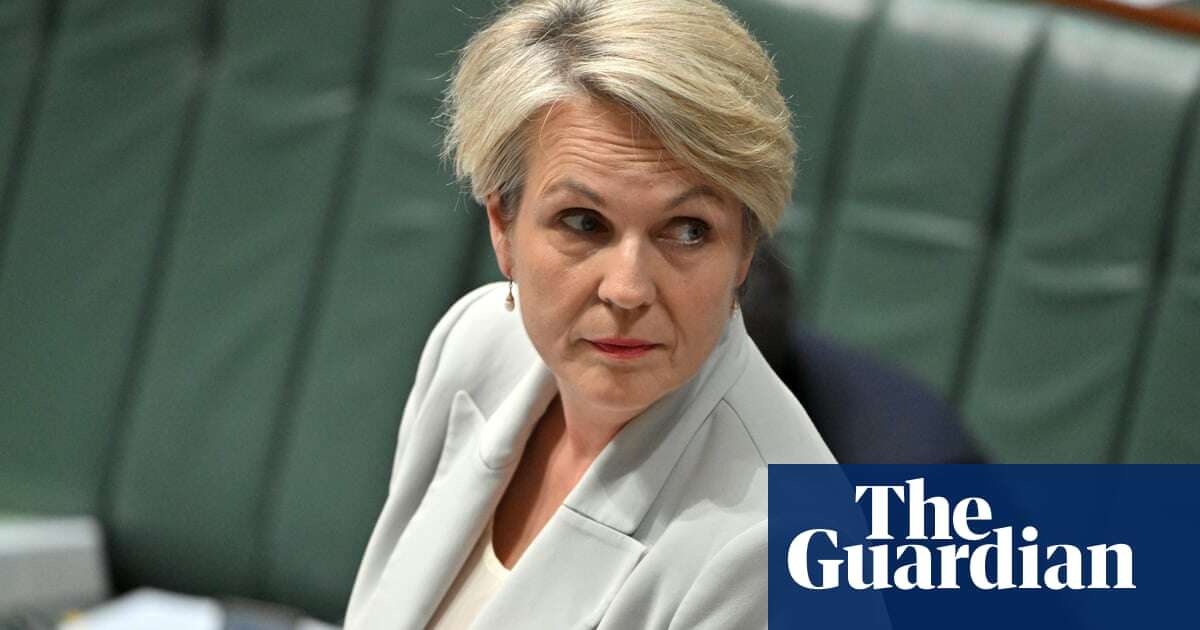 Tanya Plibersek was rebuked by NSW minister for decision to block $900m gold mine, documents reveal