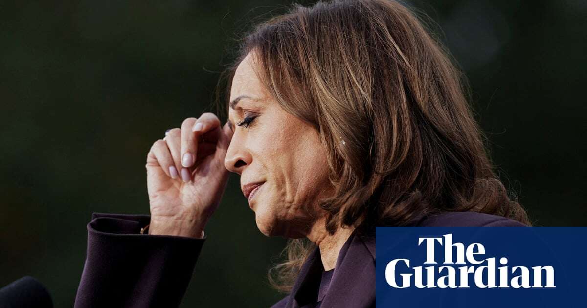 Democrats in denial over Trump defeat, voters say: ‘Haven’t learned the lessons’