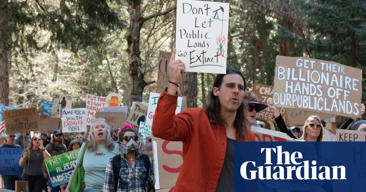 Trump orders swathes of US forests to be cut down for timber