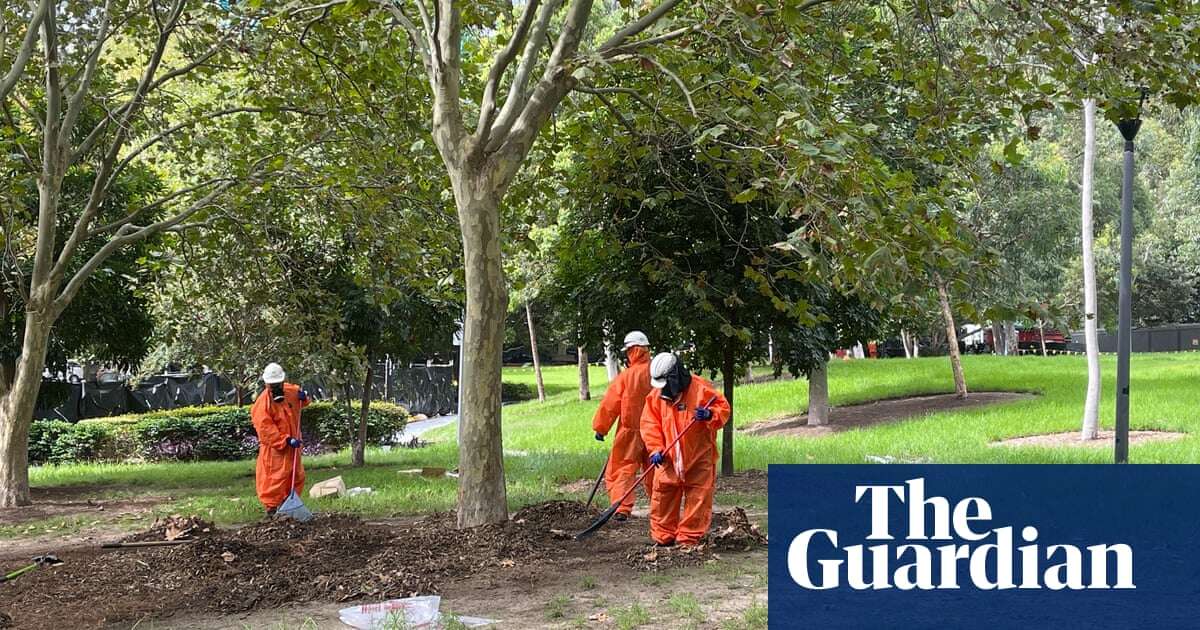 Asbestos-contaminated mulch found at 75 sites across Sydney, watchdog finds