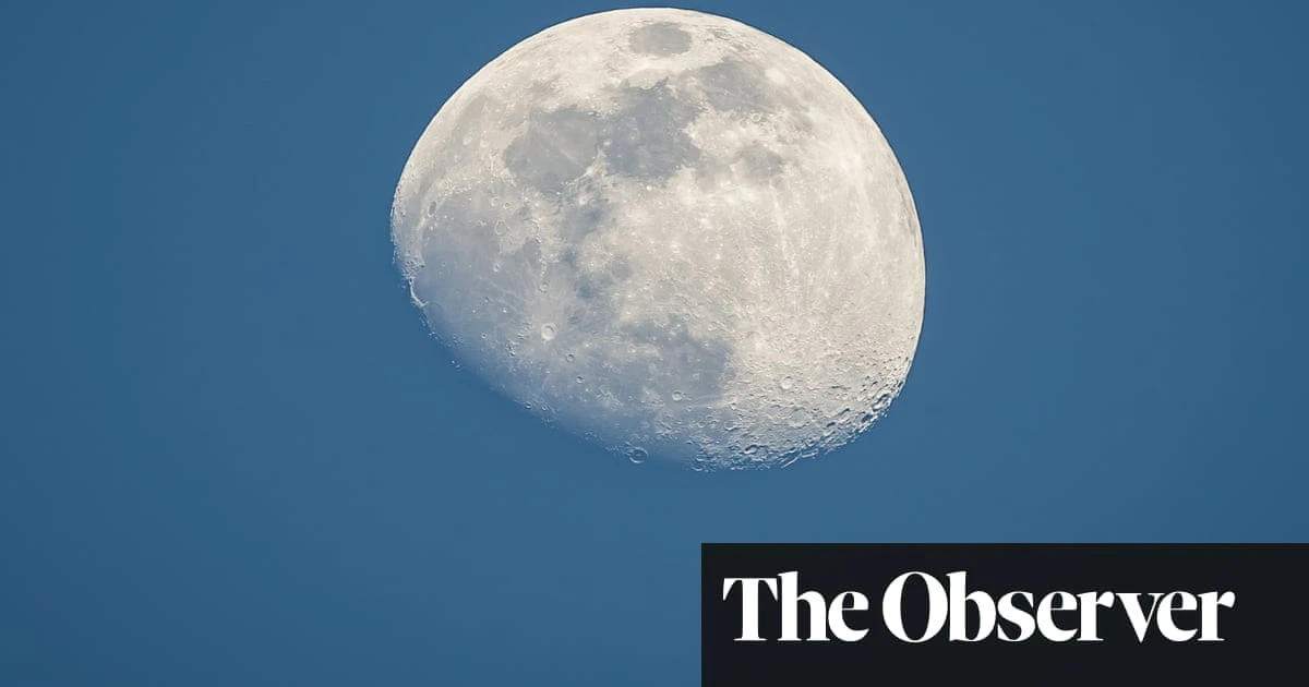 In brief: The Fury; Our Moon: A Human History; Wolfish – review