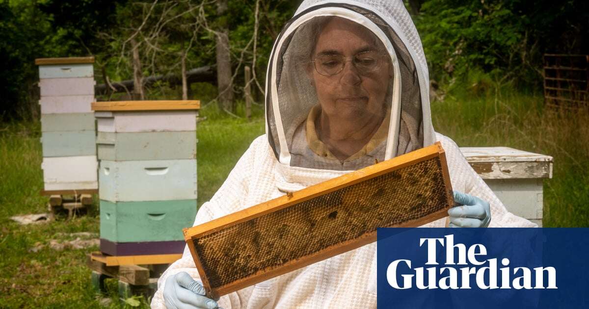 I’m a vet for bees – I think I might be the only one in the US