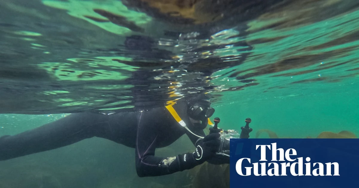 I’m obsessed with snorkelling in Scotland: starfish below, sea eagles overhead – and it really isn’t that cold