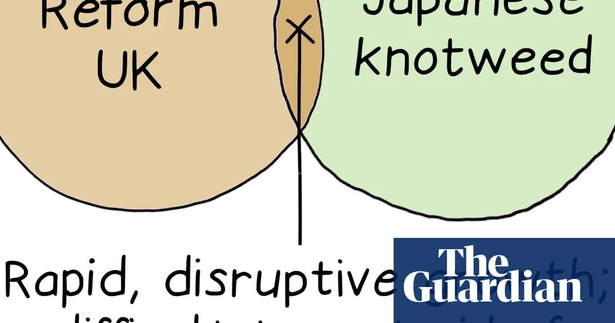 From the Farage barrage to persistent perennials: Edith Pritchett’s week in Venn diagrams – cartoon