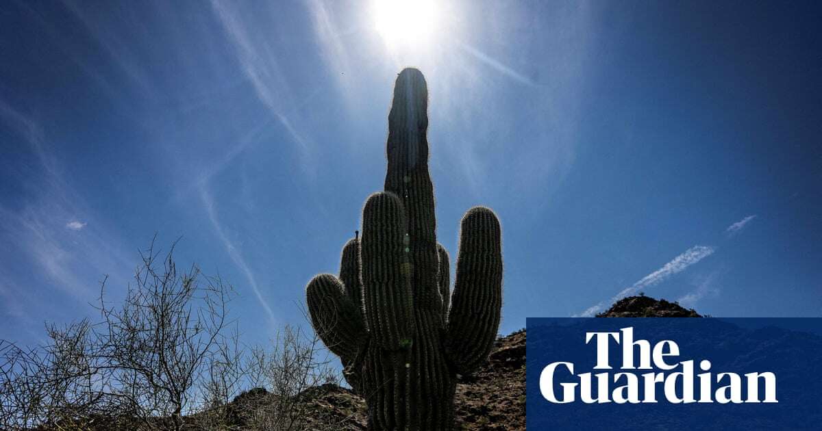 Deadly heat in Mexico and US made 35 times more likely by global heating