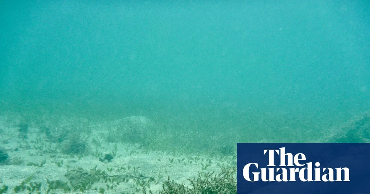 Risk of undersea cable attacks backed by Russia and China likely to rise, report warns