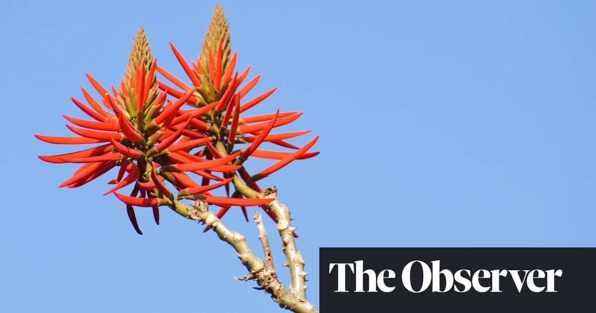 Botanists vote to remove racist references from plants’ scientific names