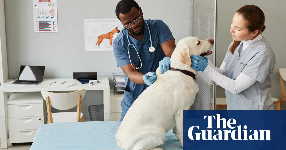 Hardwired to eat: what can our dogs teach us about obesity? – podcast