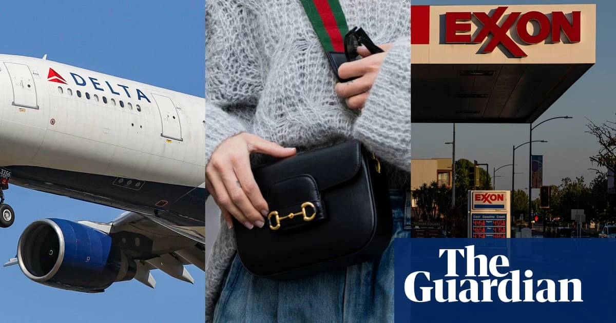 Corporations invested in carbon offsets that were ‘likely junk’, analysis says
