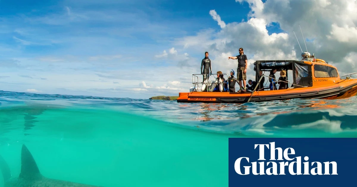 20 family nature holidays in the UK – from kayaking to stargazing and whale watching