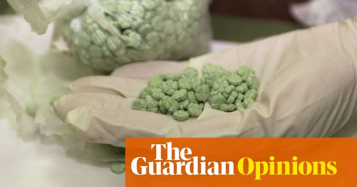 Psychedelic drugs have great therapeutic benefit – if understood on their own terms | Ross Ellenhorn and Dimitri Mugianis