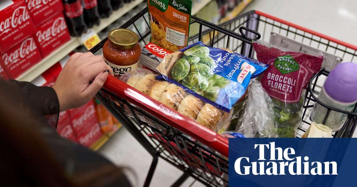 ‘It’s been a lifesaver’: millions risk going hungry as Republicans propose slashing food stamps