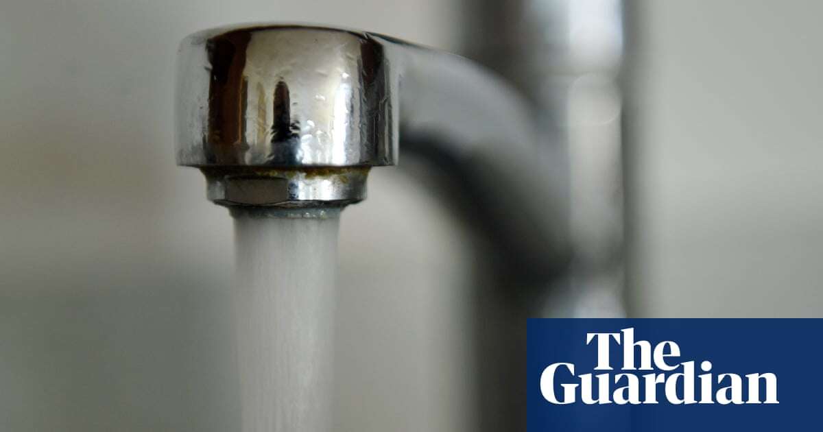 E coli found in water supply of properties of south-east London