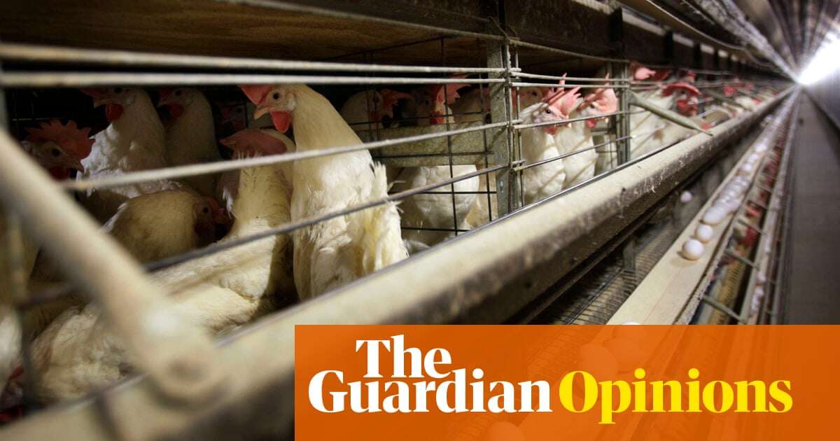 How will the bird flu affect the Trump presidency? | Katrina vanden Heuvel