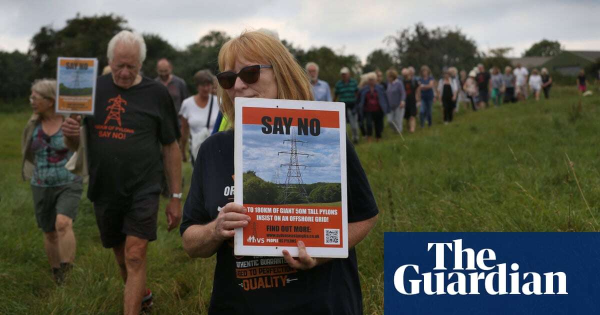 Tory pledge to review pylons could lead to energy bill hike, say experts