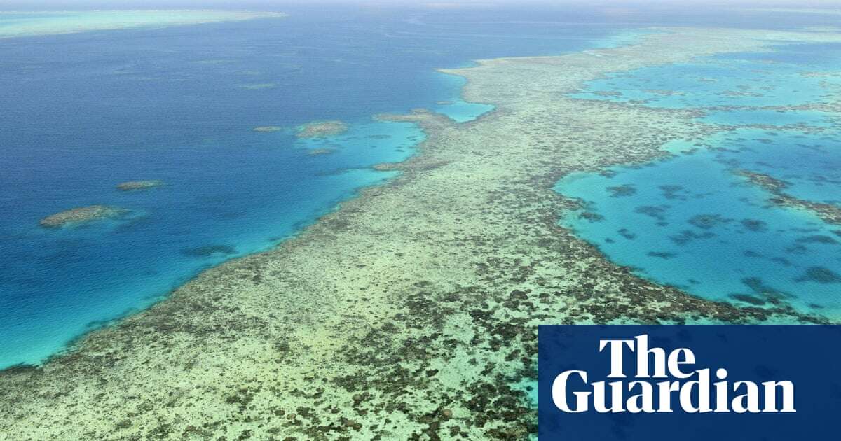 Almost half of cane growers sceptical of science behind laws protecting Great Barrier Reef