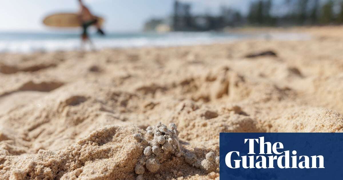 Ball-shaped debris washes up at Sydney’s Bondi, Coogee, Maroubra and Cronulla beaches