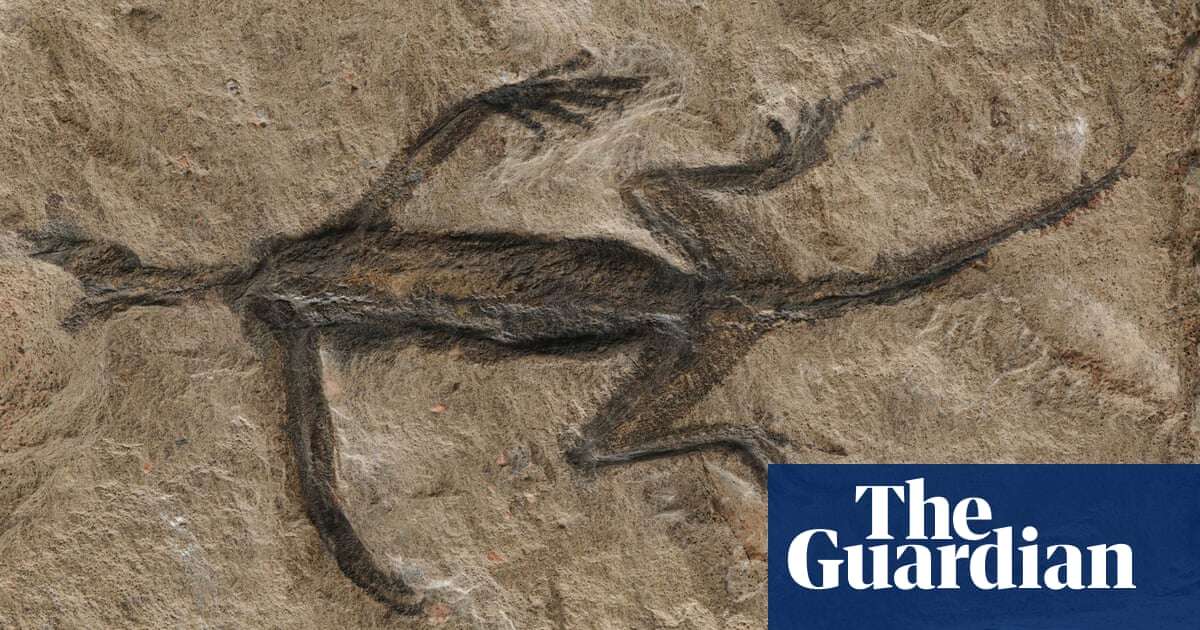 The 280m-year-old fossil reptile that turned out to be a forgery