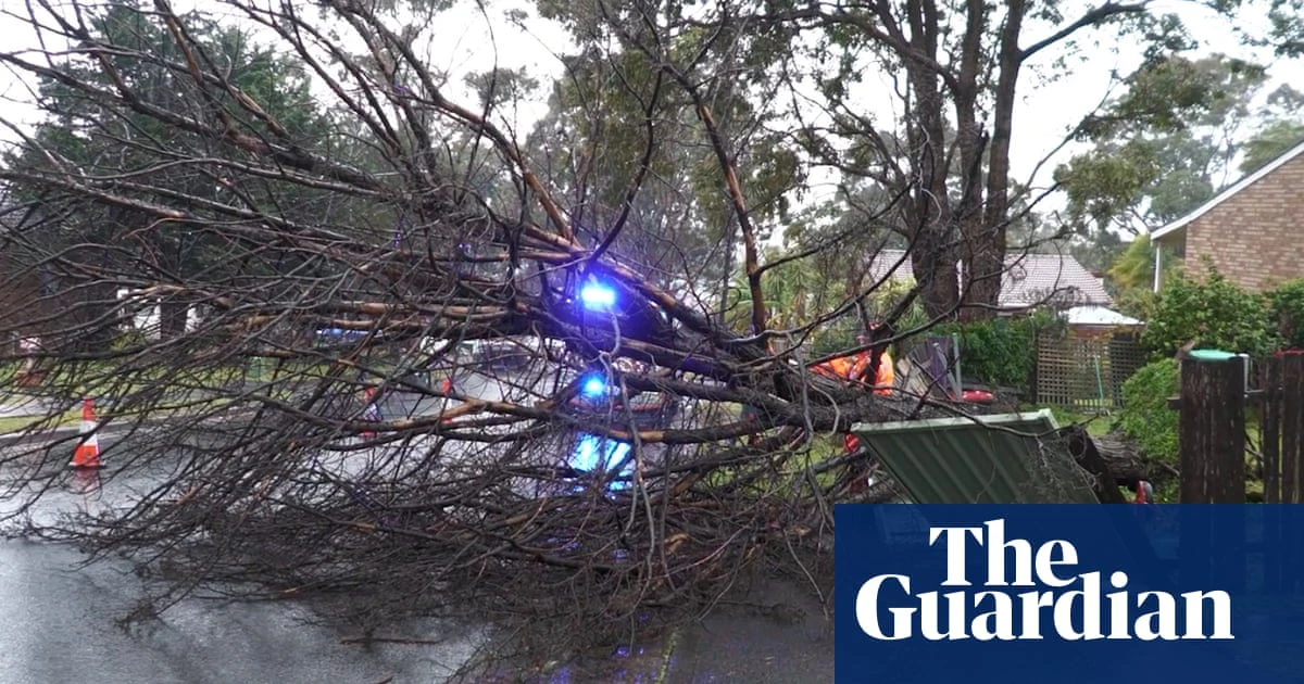 NSW weather update: thousands without power and at least 200 properties affected by flooding as storm continues