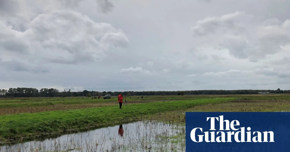 Eighty percent of England’s peatlands are dry and degraded, mapping shows