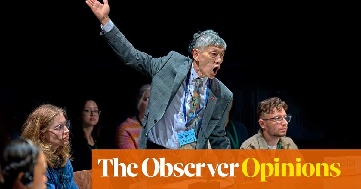 How can a new runway at Heathrow be good for the planet? | Observer letters