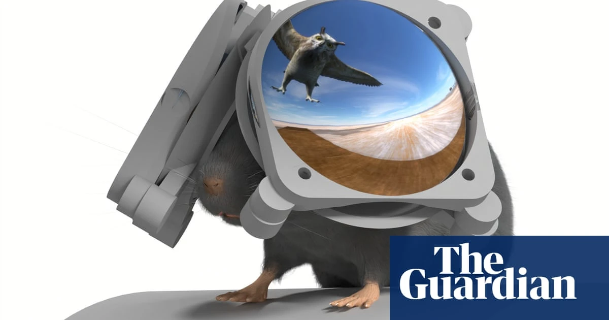 VR goggles for mice create immersive scenarios for brain research