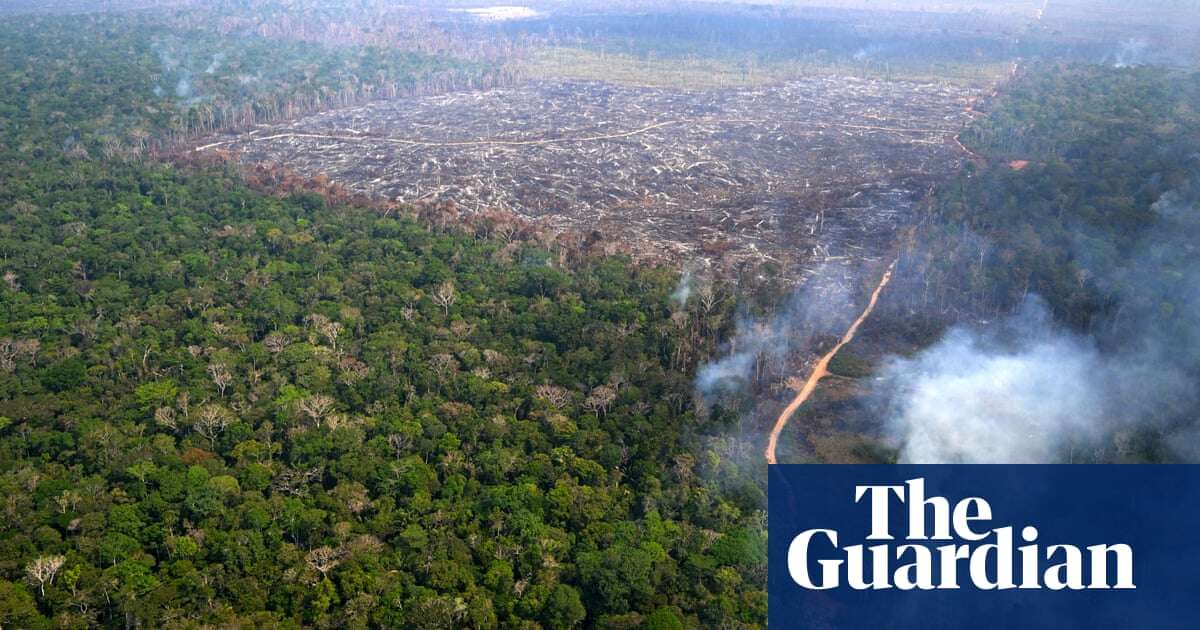 Brazil sends 1,400 firefighters to the Amazon amid devastating blazes