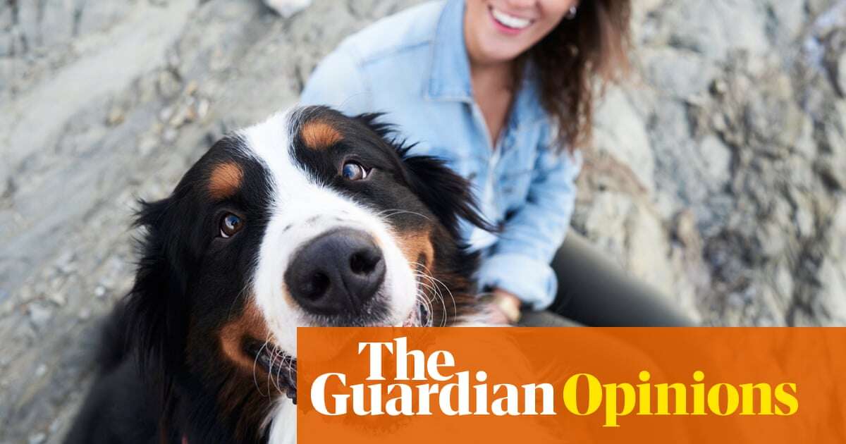 I decided to spend a day as a dog. It was completely idyllic, at first ... | Emma Beddington