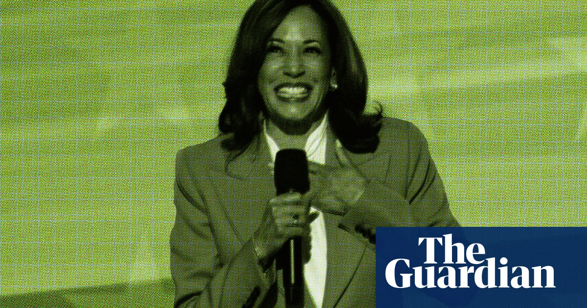 ‘Brat, what’s that?’: Harris’s meme fame (sort of) makes its way to the DNC