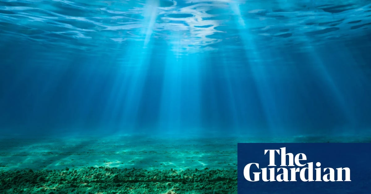 ‘Ticking timebomb’: sea acidity has reached critical levels, threatening entire ecosystems – study