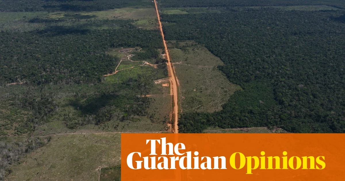 Brazil’s environmental movement is under threat – and Lula is siding with oil industry