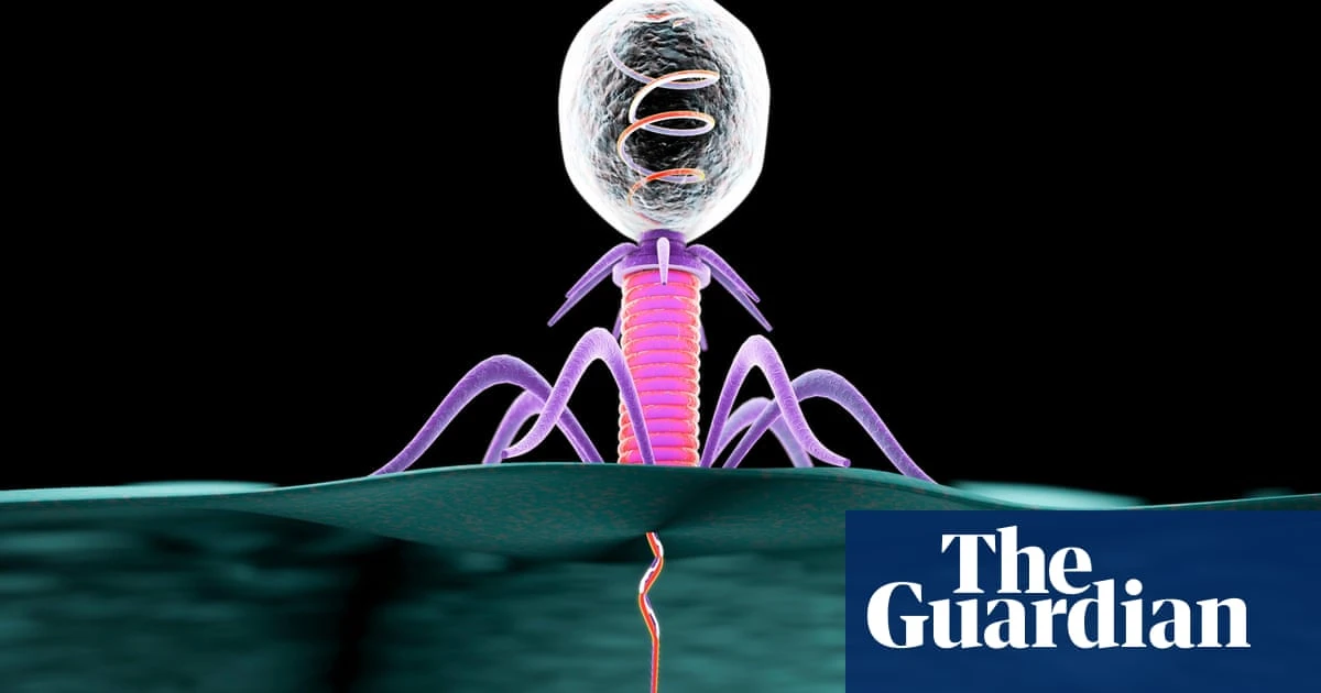 Viruses living in human gut could help regulate stress, study suggests